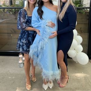 Mew Mews Ceridwen One Shoulder Feather Trimmed Midi Dress in Baby Blue